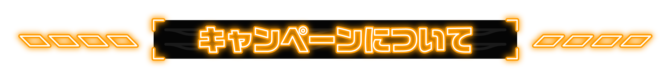 キャンペーンについて